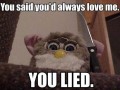 Furbythekiller