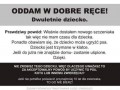 Oddam w dobre ręce