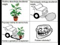 Problem rozwiązany 