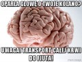Oparła głowę o twoje kolano