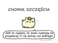 Zostałeś odwiedzony przez chomika szczęśćia