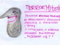 Terror