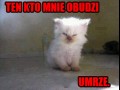 Zabiję
