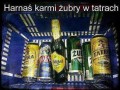 Mistrz 