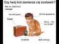 Czy twój kot zamierza cię zostawić