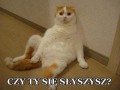 Czy ty się słyszysz