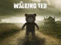 The walking ted