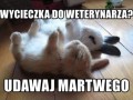 Udawaj