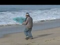 Brzeg