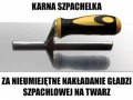 Karna szpachelka