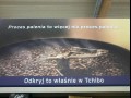 Mądre słowa od tchibo