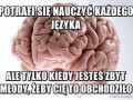 Głupi mózg