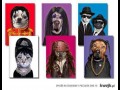 Pets rock