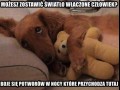 Boje się