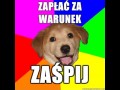 Zaśpij na warunek