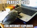 User ie