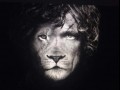 True lion