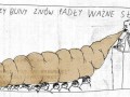 Polityka dziś
