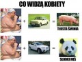 16Caco widzą