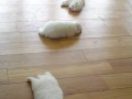 Sooo tired