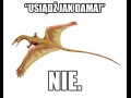 Jak dama