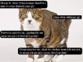 Wakacje okres wzmożonego lenistwa