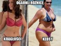 Ogarnij to