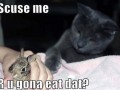 Scuse me