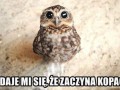 Kopać