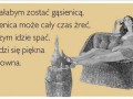Być gąsięnnicą