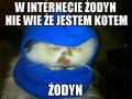 W internecie żodyn nie wie że jestem kotem