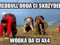 Doda ci skrzydeł