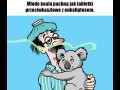 Ciekawostki zoologiczne  obrazki autorstwa mr whaite