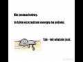 Sens leniwości