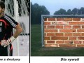 Ostoja drużyny