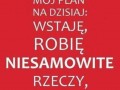 Plan na dziś