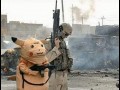Pika pika motherfucker