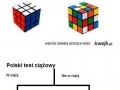 Polski test ciazowy