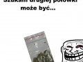 Półka
