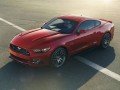Nowy mustang