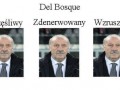 Del bosque
