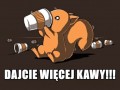 No już