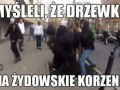 Drzewko miało żydowskie korzenie