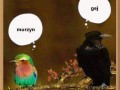 Poglądy