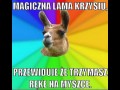 Magiczna lama