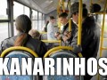 Kanarinhos