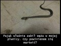 Nie wszystko jest w porządku
