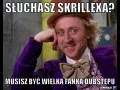 Więc słuchasz skrillex39a 