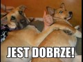 Jest dobrze