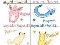 Pokescope